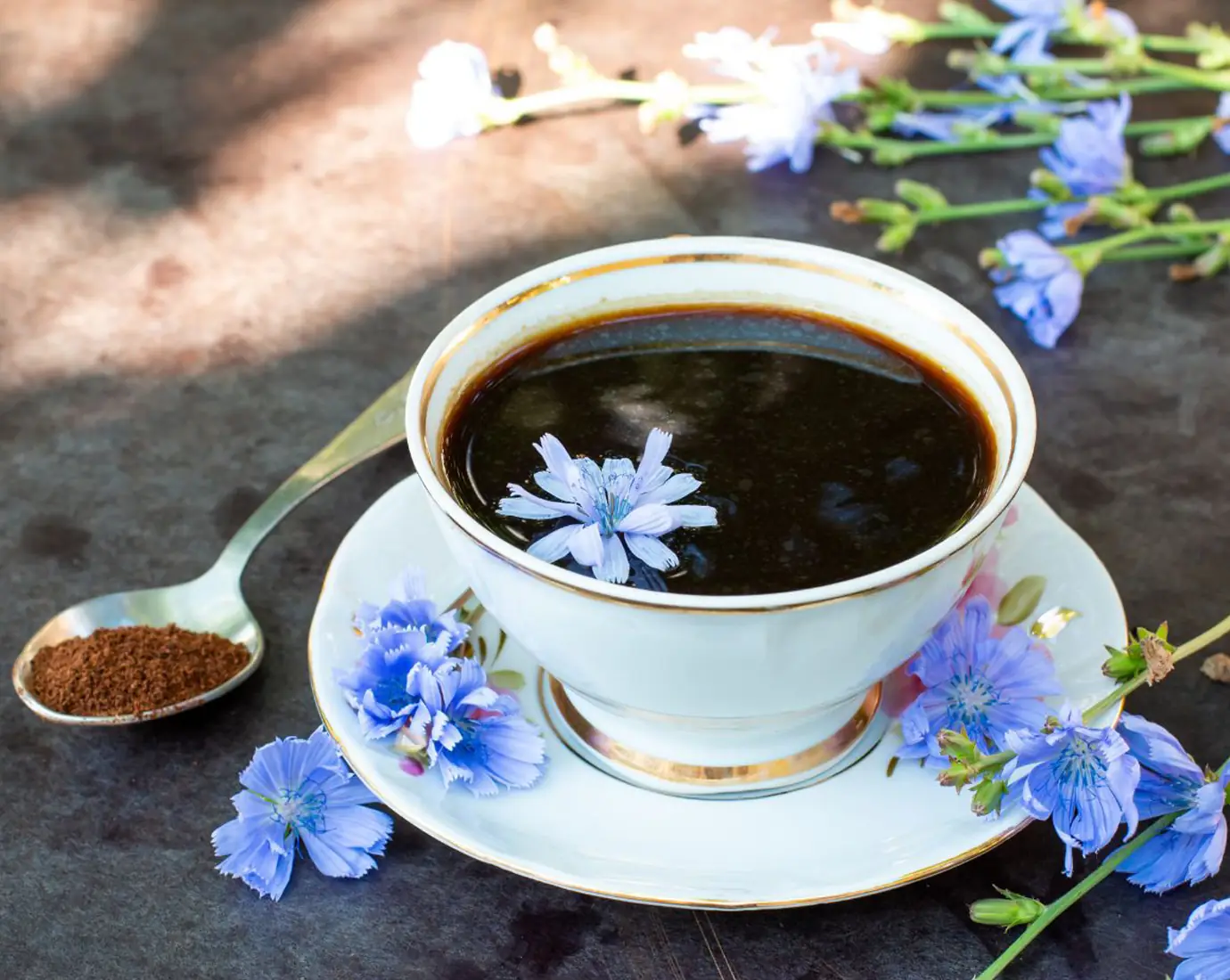 In una tazzina si vede il caffè di cicoria e in un cucchiaino da caffè si vede il caffè di cicoria in polvere, servito in una composizione fatta con i fiori di cicoria